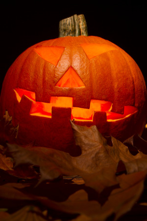 Helloween pumpkinの写真素材