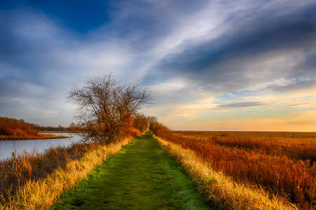 Beautiful green grass covered road, next to a river. Orange, autumn grass and trees. Cloudy blue sky...