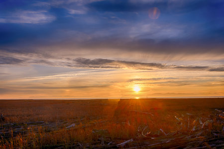 Beautiful HDR sunset landscape. The setting sun creates sun rays in the clouds. Lens flare is visible. Grass field and tree trunks are in the foreground. Mountains are in the backgroundの写真素材