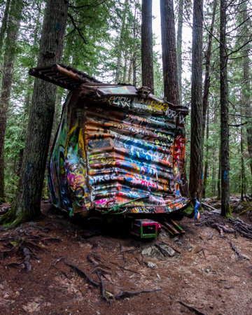 Train wreck in the forest, in Whistler. They are covered with graffiti inside and outside. Surrounded by treesの写真素材