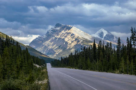 Stunning view of peaks and glaciers at Jasper Provincial Park, Alberta, Canada. Green trees, grass and a road in the foreground.の写真素材