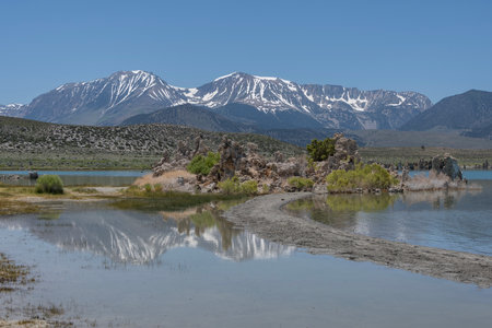 Snow-capped mountains tower in the background while clear waters of Mono Lake reflect their beauty. Vegetation and geological formations add to the serene landscape on a sunny day.の写真素材