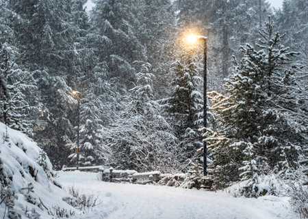 Snow falls gently over a snow-covered path surrounded by tall evergreen trees. Warm light from...