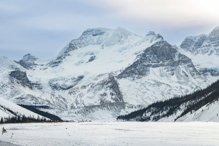 Snow-covered peaks tower over a vast, icy plain in a tranquil national park setting during early morning hours. The serene scene captures nature's beauty and tranquility.の写真素材