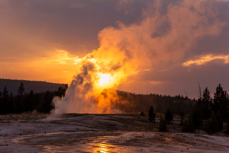 A powerful geyser erupts in Yellowstone National Park, surrounded by silhouetted trees against a stunning orange and purple sunset sky. Steam rises, creating a dramatic atmosphere.の写真素材