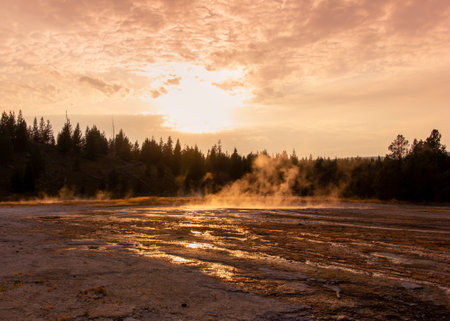 Golden sunlight illuminates the landscape as steam rises from the ground, surrounded by tall trees and natural beauty during sunset. The warm hues create a tranquil atmosphere.の写真素材