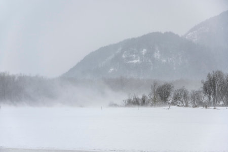 Snowfall covers a vast landscape where trees and mountains emerge from the haze. The atmosphere is...