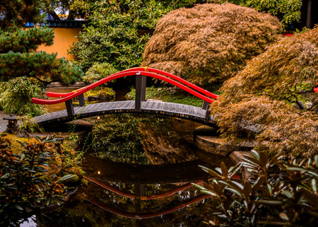 A striking red bridge arches gracefully over a calm pond surrounded by vibrant foliage. The scene captures early morning tranquility with reflections adding depth to the serene atmosphere.の写真素材