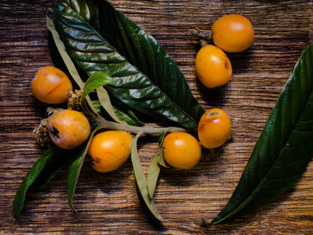medlar on wooden tableの写真素材