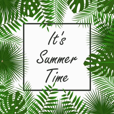 Summer Time card design with - tropical palm leaves, jungle leaf , exotic plants and border frame. Graphic for poster, banner, background. Vector illustration.のイラスト素材