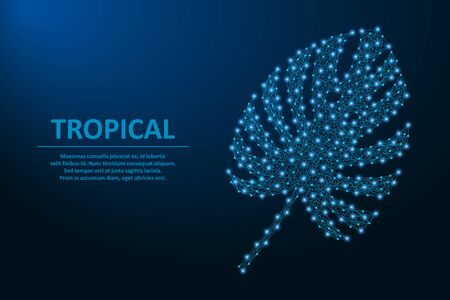 Monstera leaf made by points and lines, polygonal wireframe mesh on night sky with star, tropical palm leaves on dark blue background. Vector illustration.のイラスト素材