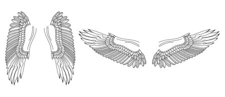 Wings sketch. Bird or angel hand drawn wings. Vector illustration.のイラスト素材