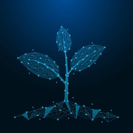 Sprout of plant made by points and lines. Low poly blue seedling. Polygonal wireframe mesh on night sky. Vector illustration.のイラスト素材