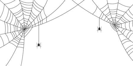 Spiders and web. Background with space for Halloween banner with with spiderweb and spider. Vector illustration.のイラスト素材