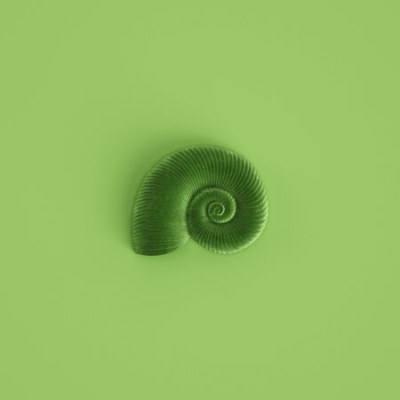 Green seashell sculpture on pastel green background. Flat lay. Trendy fashion Style. Minimal Design Art. Digital illustration.3d renderingの写真素材