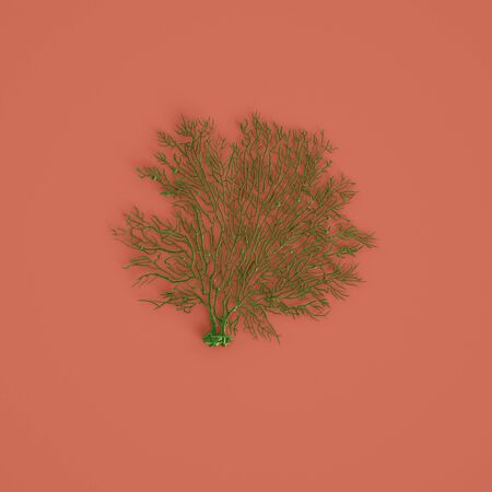 Green sea coal fan sculpture on pastel red background.Flat lay. Trendy fashion Style. Minimal Design Art. Digital illustration.3d renderingの写真素材
