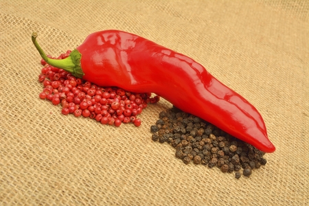 red hot chili pepper on the jute gunny bag の写真素材