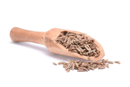 Caraway seed in an olive wood scoop and scattered isolated on white background.の写真素材