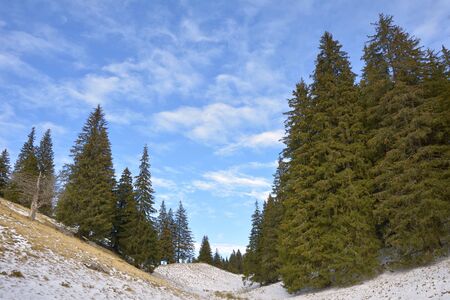 Mountain valley in the spring seasonの写真素材