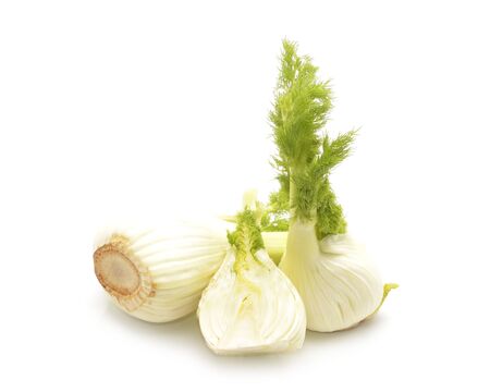 Fresh fennel bulb isolated on white backgroundの写真素材