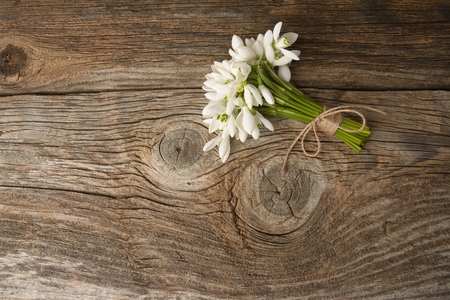 snowdrops bunch on wooden backgroundの写真素材