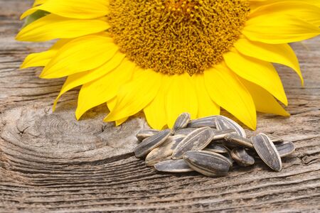 sunflowers with seeds on wooden table close upの写真素材
