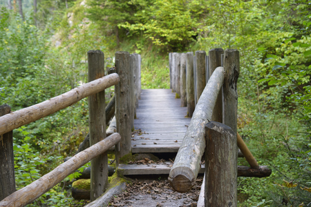 Bridge in bright forest.の写真素材