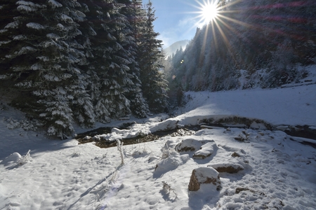 A stunning view from the spring show of nature in winter, sun, river, snow, treesの写真素材