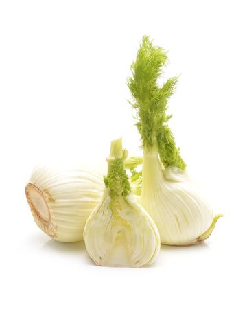 Fresh fennel bulb isolated on white backgroundの写真素材