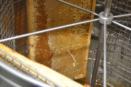 honeycomb frames into centrifugeの写真素材