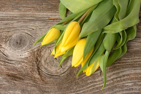 Fresh yellow tulips on rustic wooden backgroundの写真素材