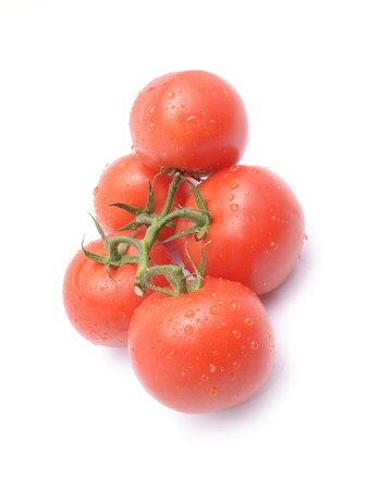 tomatoes isolated on white backgroundの写真素材