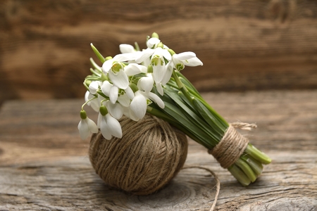Bouquet of snowdrops on wooden backgroundの写真素材