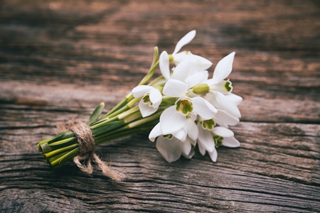 snowdrops bunch on wooden backgroundの写真素材
