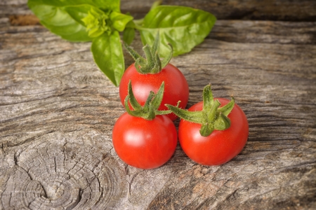 Tomatoesの写真素材