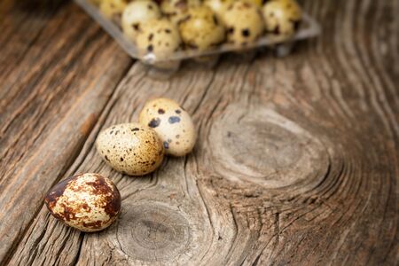 Quail eggsの写真素材