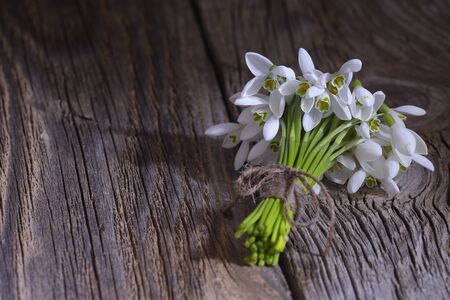 snowdrops bunch on wooden backgroundの写真素材