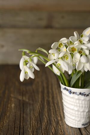 Snowdrops in a glass vase on old wooden tableの写真素材