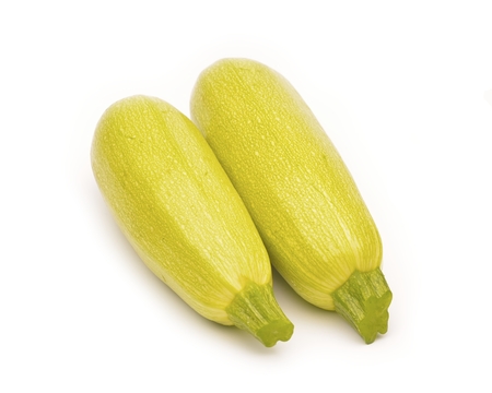 Young zucchiniの写真素材