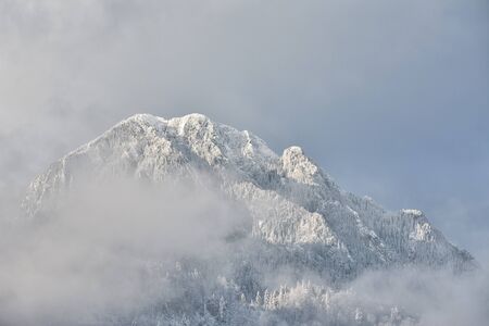 Winter landscape with fog in a mountain forestの写真素材