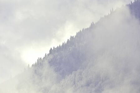 Winter landscape with fog in a mountain forestの写真素材