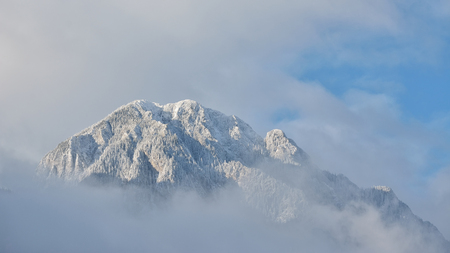 Winter landscape with fog in a mountain forestの写真素材