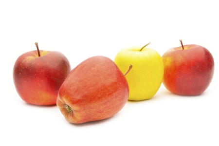 Red appleの写真素材