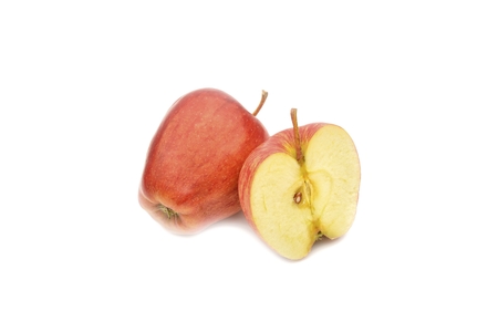 Red appleの写真素材