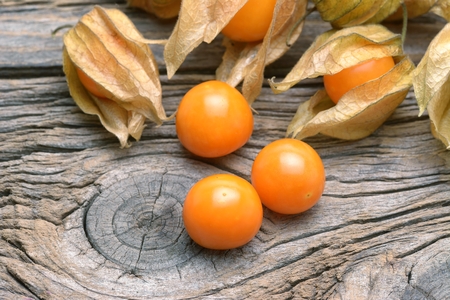 physalis on wooden old tableの写真素材