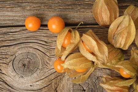 physalis on wooden old tableの写真素材