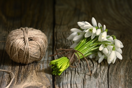 Bouquet of snowdrops on wooden backgroundの写真素材