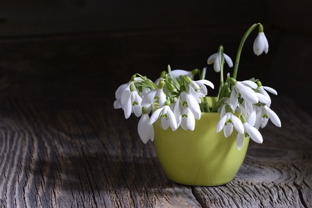 Bouquet of beautiful spring first flowers snowdrops in vase on a wooden backgroundの写真素材
