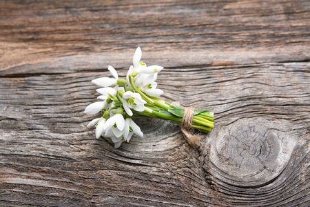 Bouquet of snowdrops on wooden backgroundの写真素材