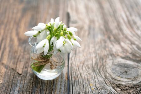 Bouquet of beautiful spring first flowers snowdrops in vase on a wooden backgroundの写真素材